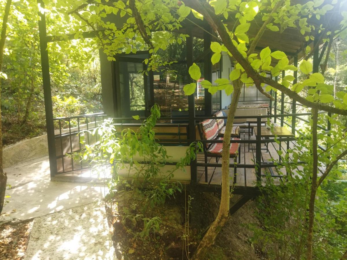 Glamping Georgia Krikhi Hotel Ambrolauri Ngoại thất bức ảnh